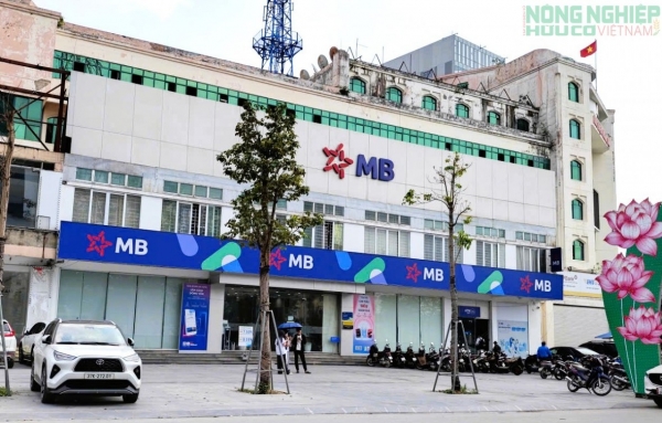 Phát hiện số tiền lớn ở cây ATM, phóng viên Tạp chí Hữu cơ Việt Nam tìm trả cho người đánh mất
