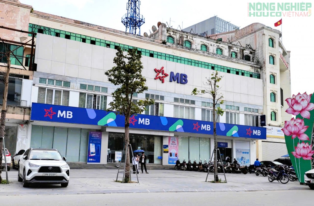 Phát hiện số tiền lớn ở cây ATM, phóng viên Tạp chí Hữu cơ Việt Nam tìm trả cho người đánh mất