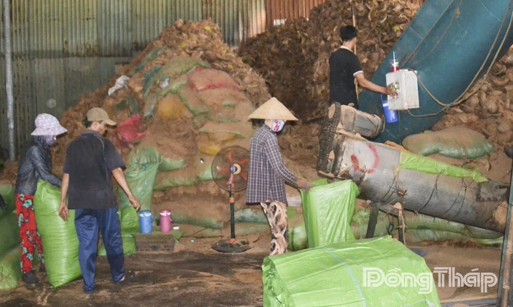 Từ vỏ dừa khô đến giá trị kinh tế