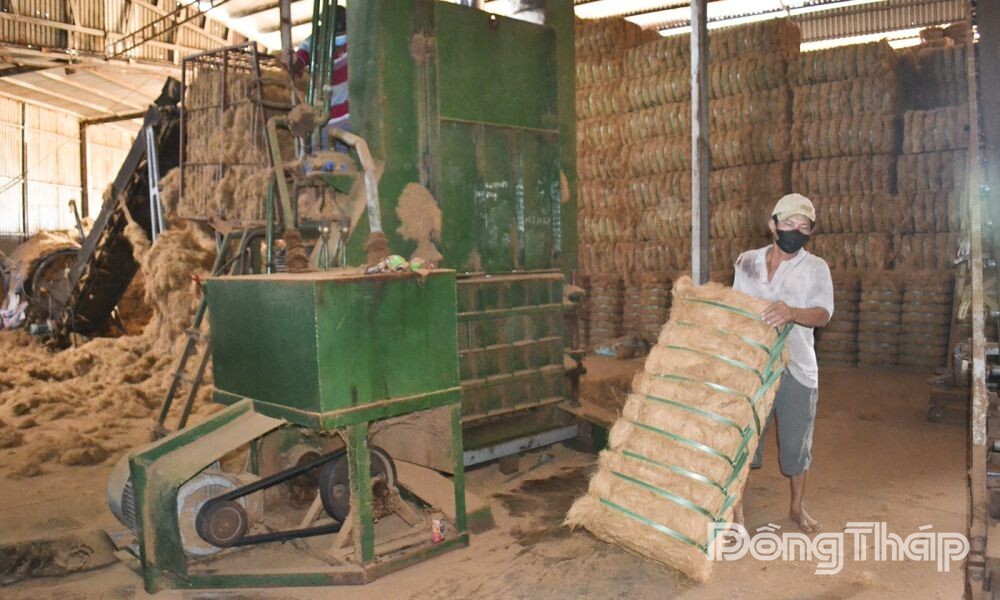 Từ vỏ dừa khô đến giá trị kinh tế