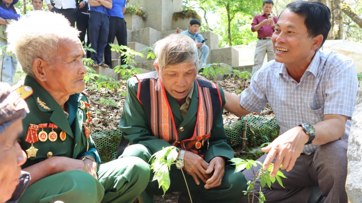 Quảng Ngãi: Tặng 3000 cây giống Sâm Ngọc Linh cho thanh niên khởi nghiệp Quảng Ngãi: Tặng 3000 cây giống Sâm Ngọc Linh cho thanh niên khởi nghiệp