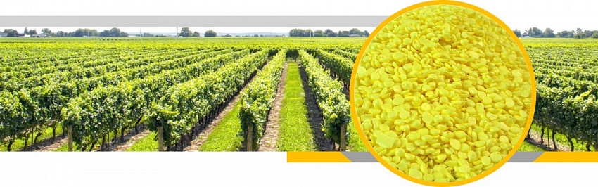 Gián đoạn nguồn cung lưu huỳnh, chi phí phân bón và rủi ro nông nghiệp toàn cầu tăng cao