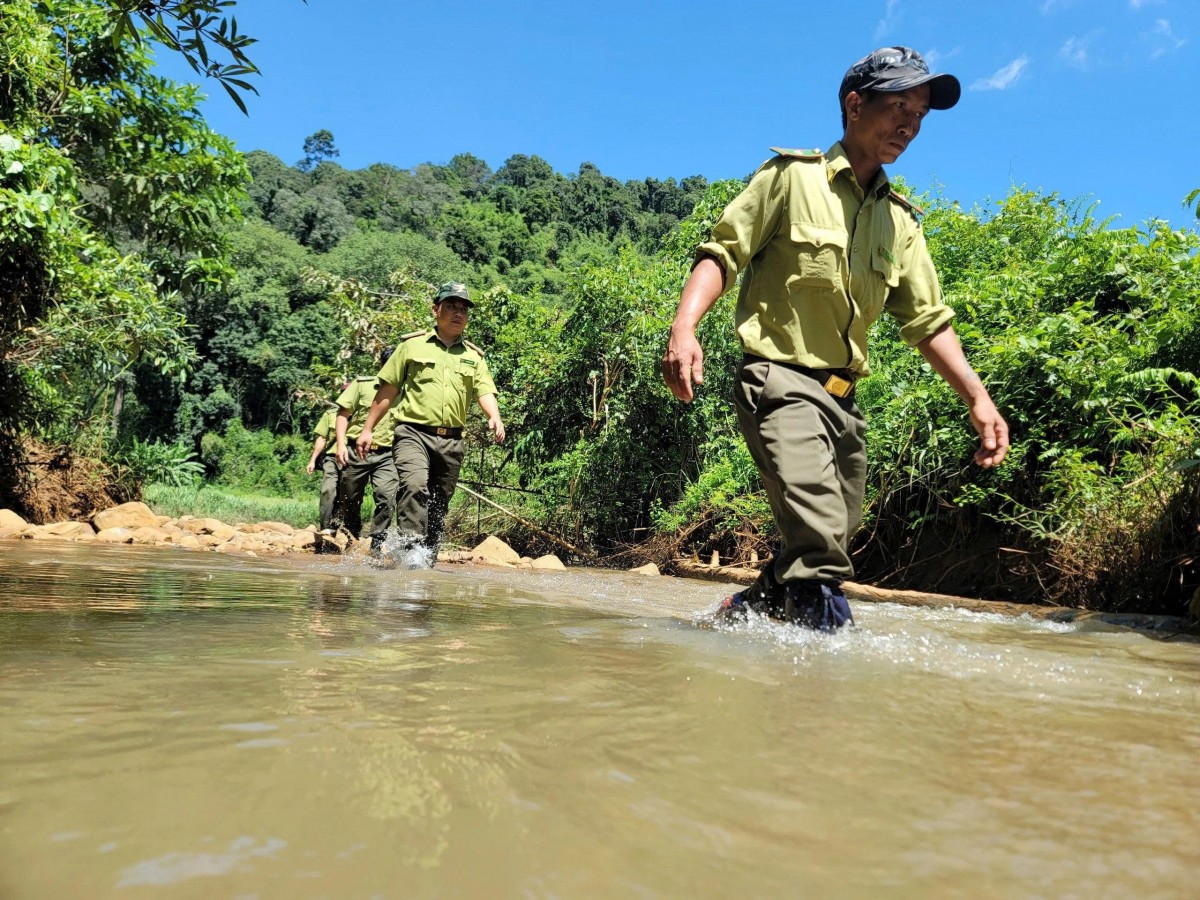 Chấn chỉnh kỷ luật, kỷ cương hành chính trong lực lượng Kiểm lâm