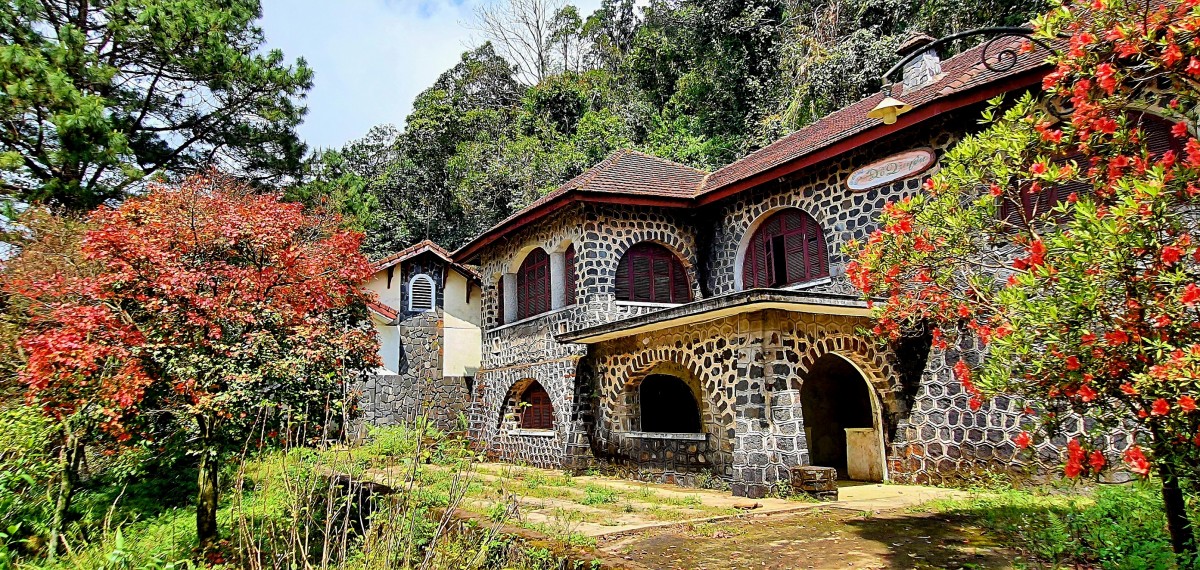 VQG Bạch Mã lan tỏa tinh thần sống xanh, bảo tồn thiên nhiên hình ảnh Bạch Mã tiếp tục được quảng bá rộng rãi, góp phần thu hút du khách