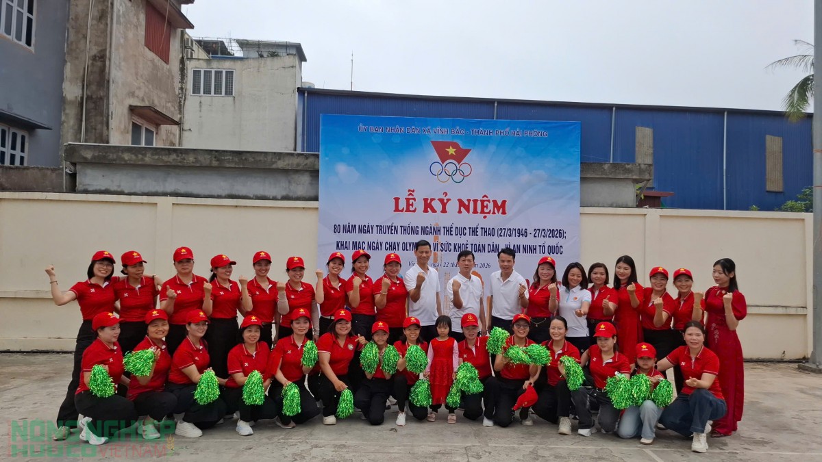 Vĩnh Bảo sôi nổi chào mừng Ngày Thể thao Việt Nam 27/3, lan tỏa phong trào rèn luyện thân thể từ cơ sở