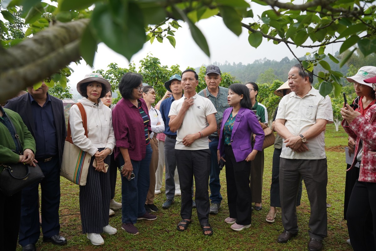 Đánh thức giá trị bản địa, mở hướng phát triển nông nghiệp hữu cơ tại Lai Châu
