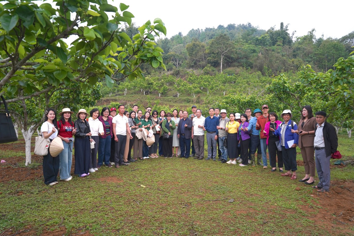 Đánh thức giá trị bản địa, mở hướng phát triển nông nghiệp hữu cơ tại Lai Châu