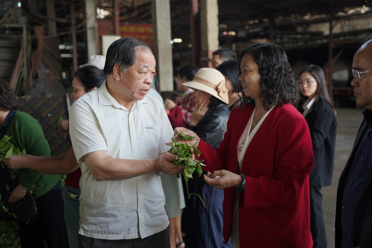 Đánh thức giá trị bản địa, mở hướng phát triển nông nghiệp hữu cơ tại Lai Châu