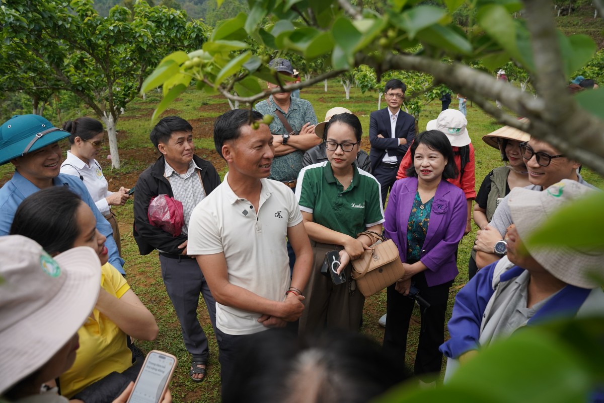 Đánh thức giá trị bản địa, mở hướng phát triển nông nghiệp hữu cơ tại Lai Châu