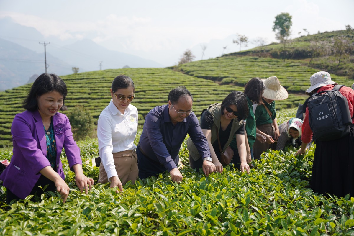 Đánh thức giá trị bản địa, mở hướng phát triển nông nghiệp hữu cơ tại Lai Châu