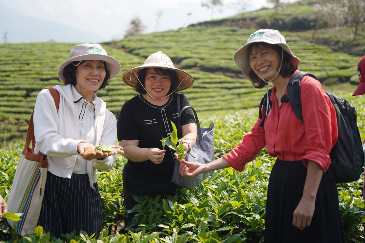 Đánh thức giá trị bản địa, mở hướng phát triển nông nghiệp hữu cơ tại Lai Châu