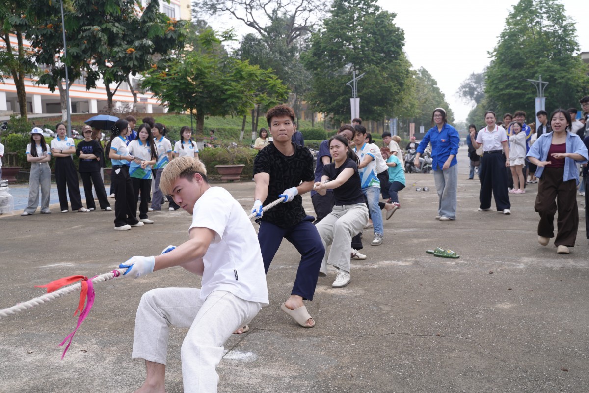 Tuổi trẻ Đại học Lâm nghiệp viết tiếp “hành trình xanh”