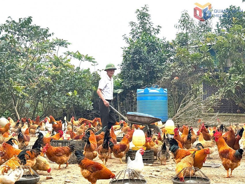 Nông nghiệp hữu cơ mở hướng phát triển bền vững và nâng tầm giá trị nông sản