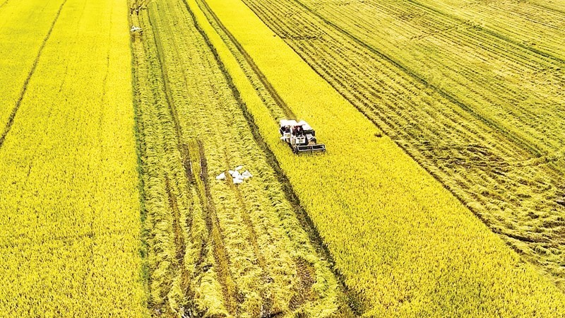 Ngành trồng trọt trên hành trình giảm phát thải