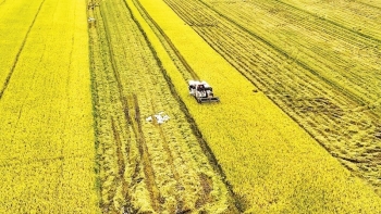 Ngành trồng trọt trên hành trình giảm phát thải