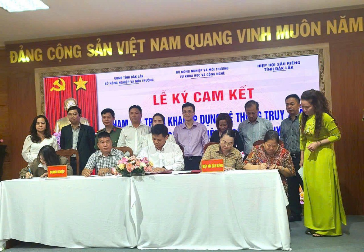 Sầu riêng bước vào “kỷ nguyên minh bạch”: Áp dụng truy xuất nguồn gốc từ 1/7/2026