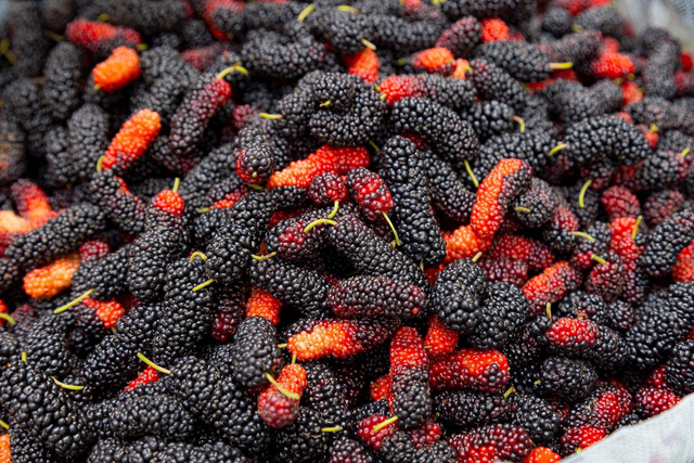 Đừng chỉ ăn quả, lá cây này quý như "nhân sâm của người nghèo", đang vào mùa đi chợ là thấy  - Ảnh 3.