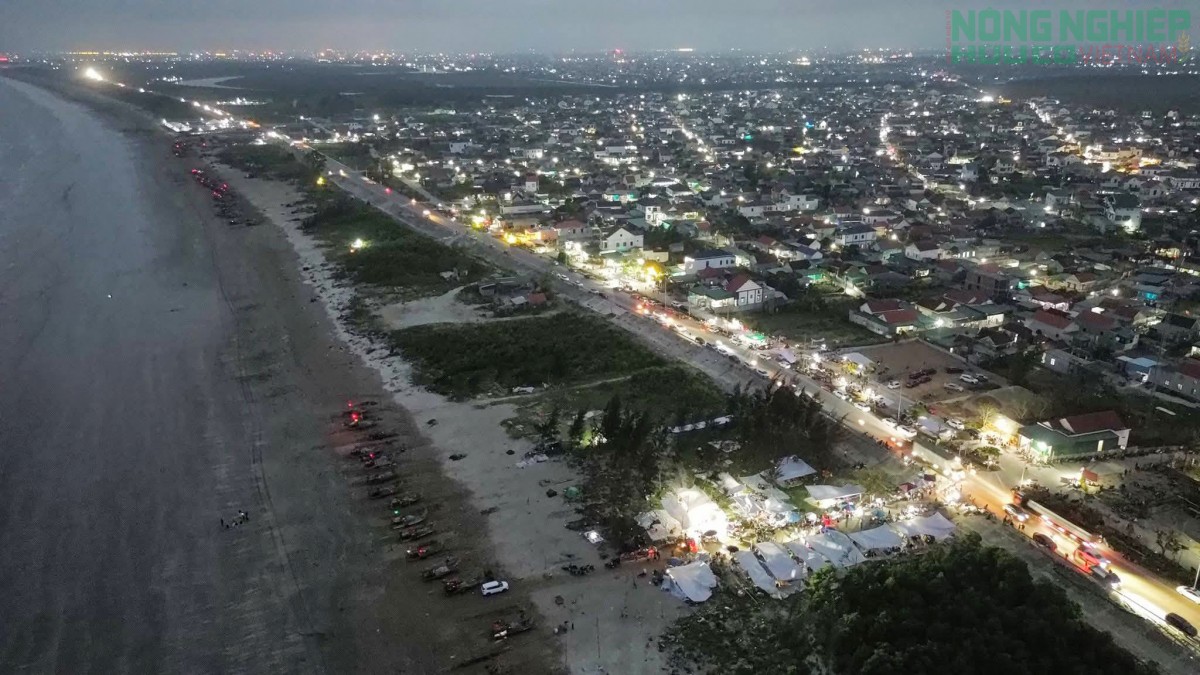 Cá trích nướng “gây sốt” mạng xã hội, thơm lừng làng biển xứ Nghệ