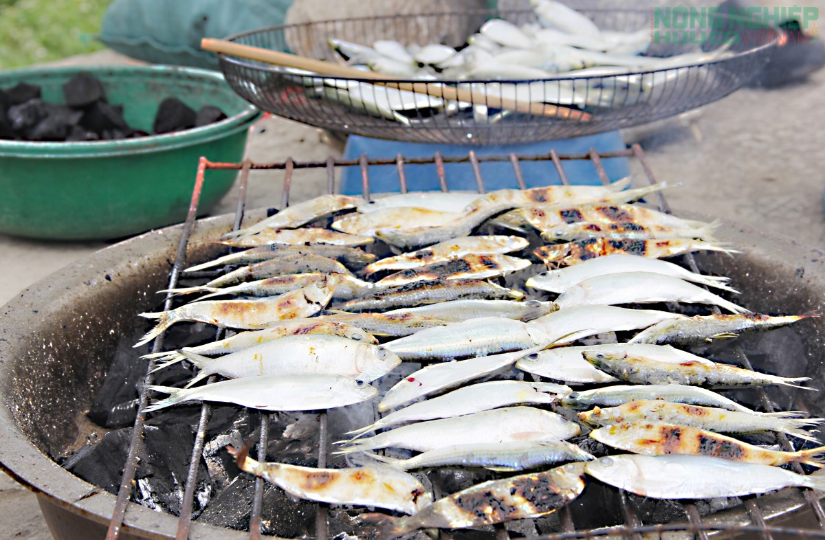 Cá trích nướng “gây sốt” mạng xã hội, thơm lừng làng biển xứ Nghệ