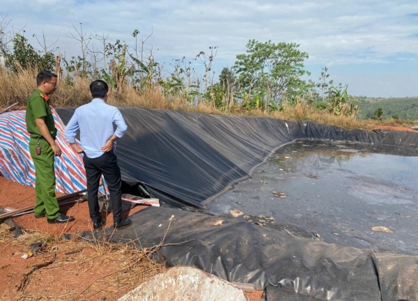 Kiểm tra, xử lý vi phạm môi trường tại trang trại chăn nuôi heo quy mô lớn