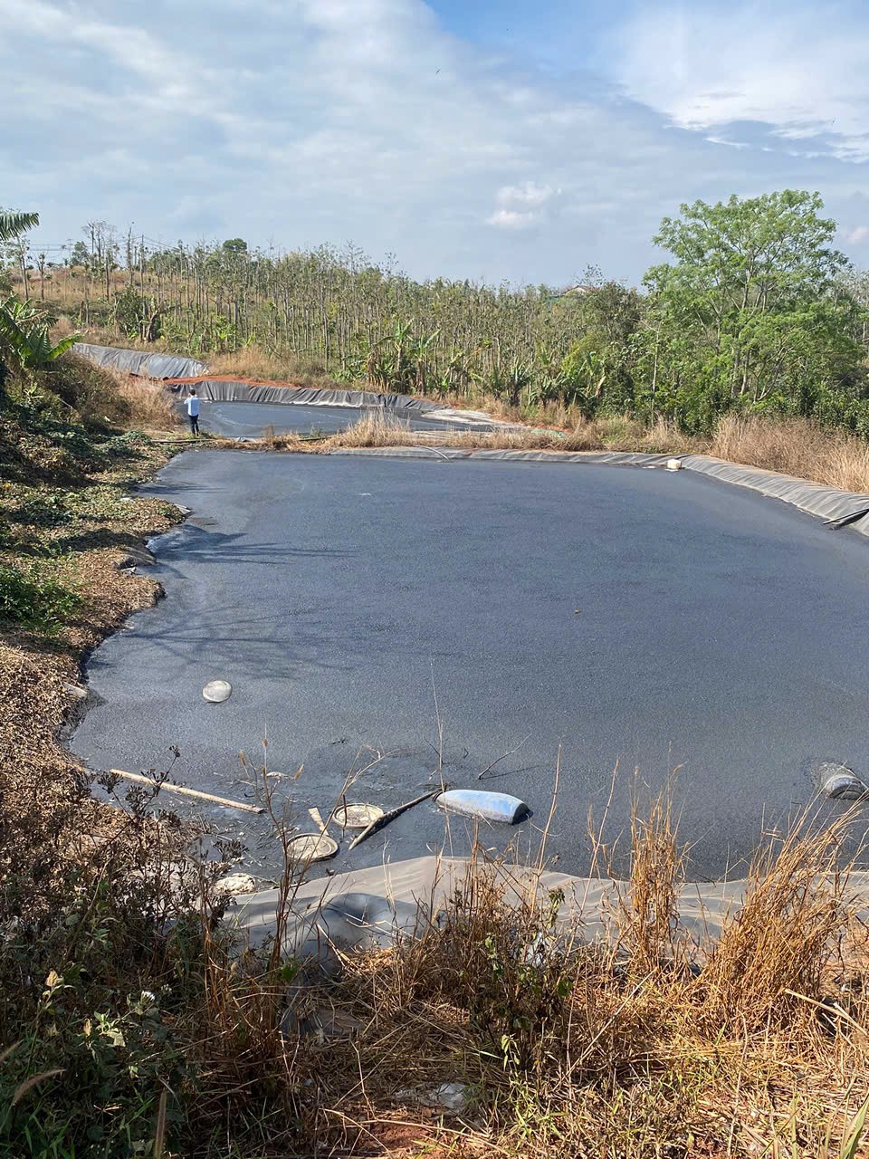 Lâm Đồng: Xử phạt chủ trại heo hơn 200 triệu đồng vi phạm trong lĩnh vực bảo vệ môi trường