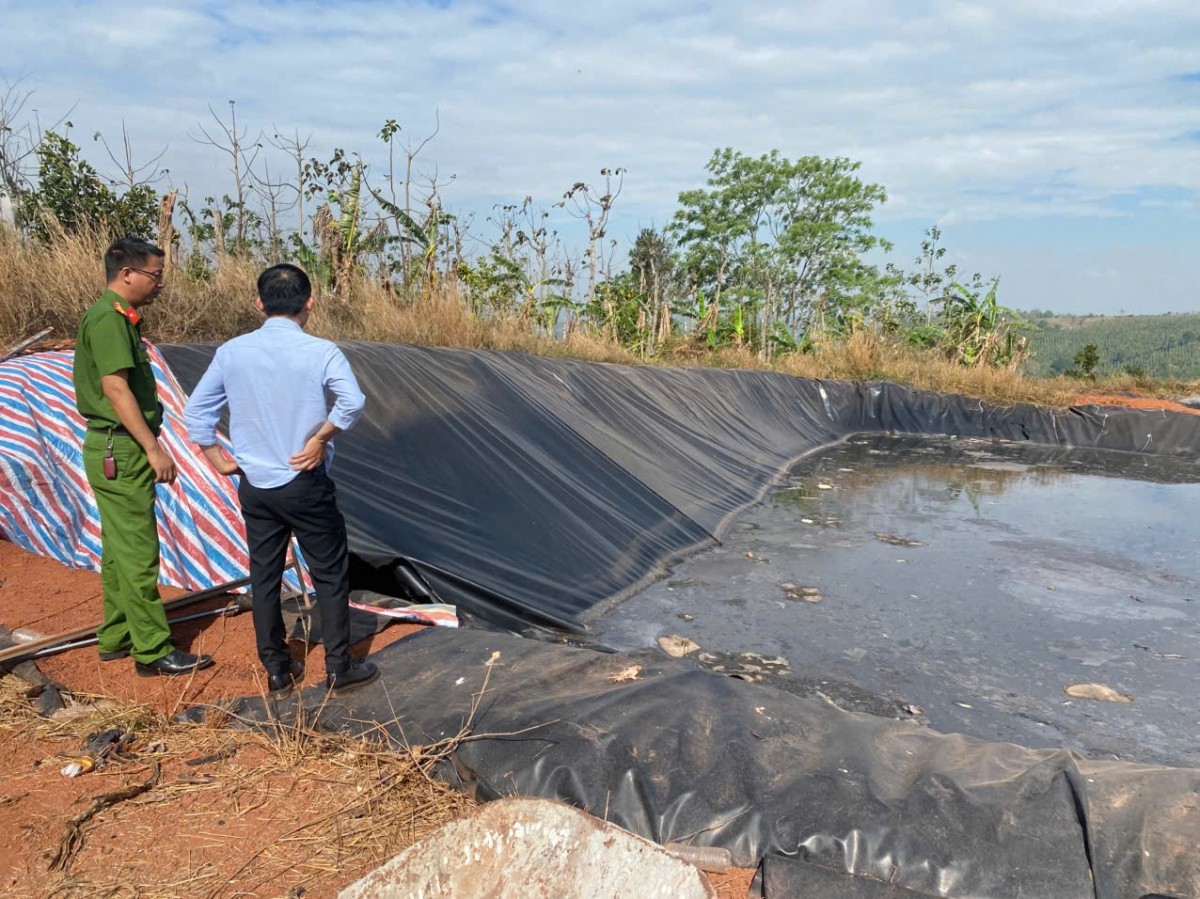 Kiểm tra, xử lý vi phạm môi trường tại trang trại chăn nuôi heo quy mô lớn