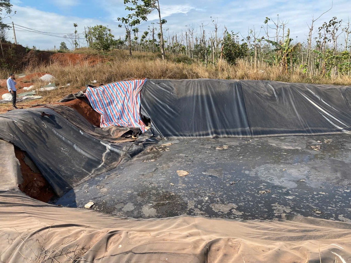 Kiểm tra, xử lý vi phạm môi trường tại trang trại chăn nuôi heo quy mô lớn