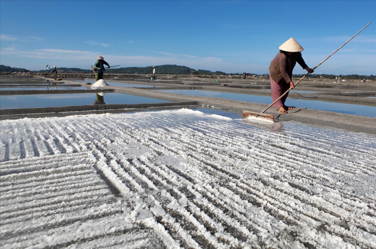 Không khí sản xuất sôi động trên cánh đồng muối Sa Huỳnh.