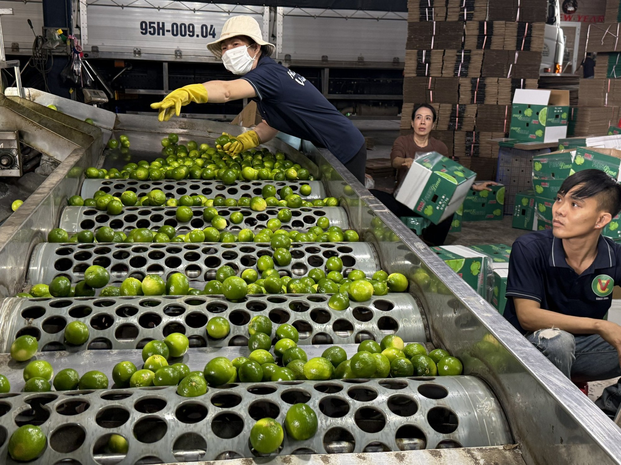 Cải thiện công nghệ bảo quản nông sản để giảm chi phí xuất khẩu- Ảnh 1.