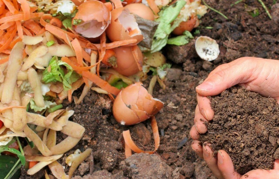 Biến phụ phẩm trồng trọt và chất thải chăn nuôi để sản xuất phân hữu cơ