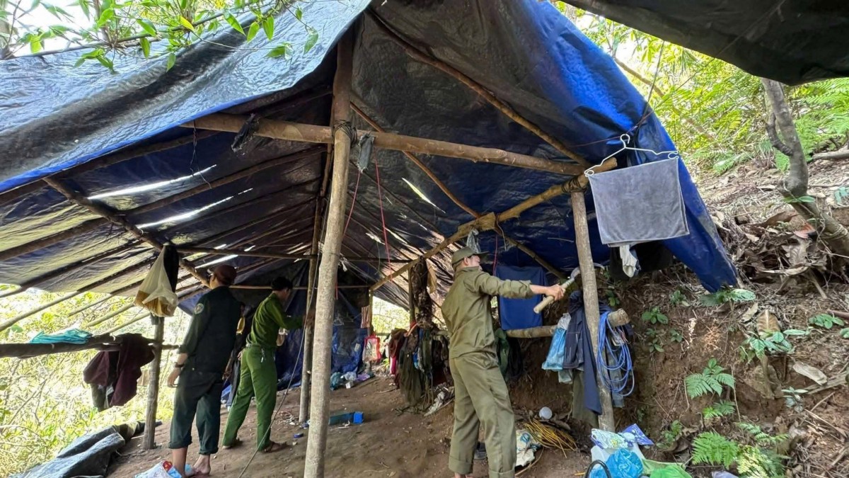 Lực lượng chức năng kiểm tra, xử lý lán trại phục vụ hoạt động khai thác khoáng sản trái phép tại xã Trà Tân.