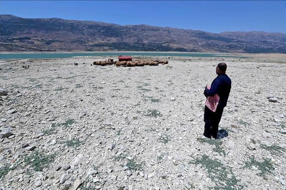 Hạn hán có thể thúc đẩy vi khuẩn kháng kháng sinh