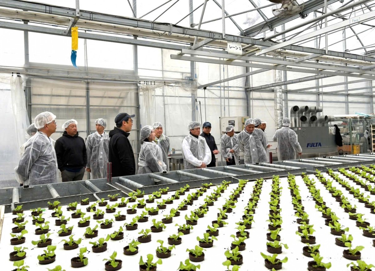 Đoàn công tác tỉnh Quảng Trị thăm và làm việc tại tỉnh Yamanashi, Nhật Bản