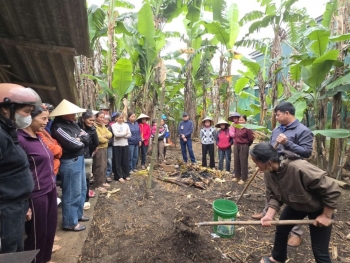 Tập huấn về kỹ thuật ủ phân hữu cơ bằng men vi sinh cho bà con nông dân