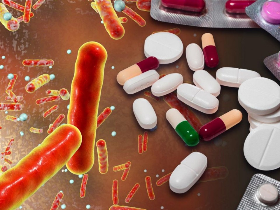 Nguy cơ kháng kháng sinh lan từ vật nuôi sang con người