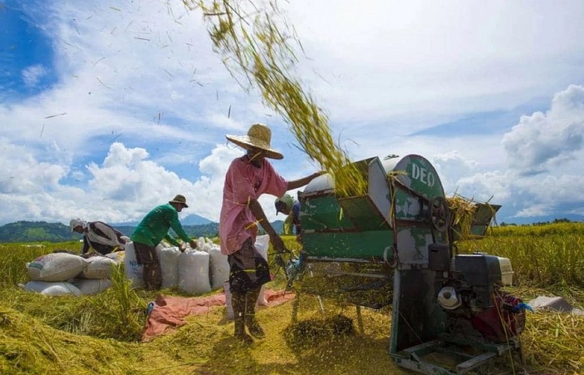 WB chi 1 tỷ USD để nâng cao khả năng chống chịu khí hậu cho nông nghiệp Philippines