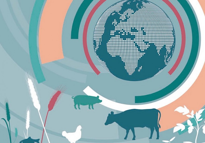 Thu hẹp khoảng cách giới có thể giúp giảm 45 triệu người thiếu lương thực toàn cầu