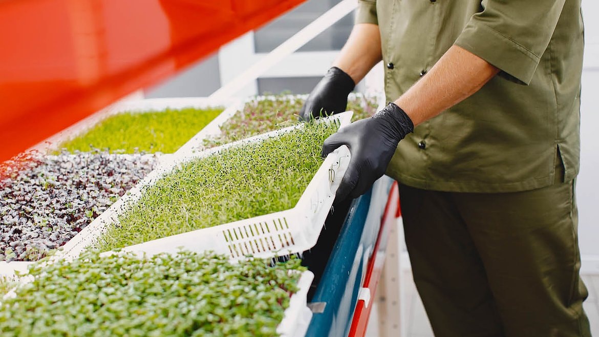 Full Width - Gallery Images 5