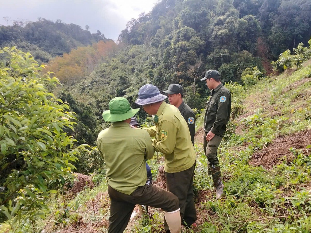 “Lá chắn xanh” bền bỉ giữ mạch sống cho thành phố