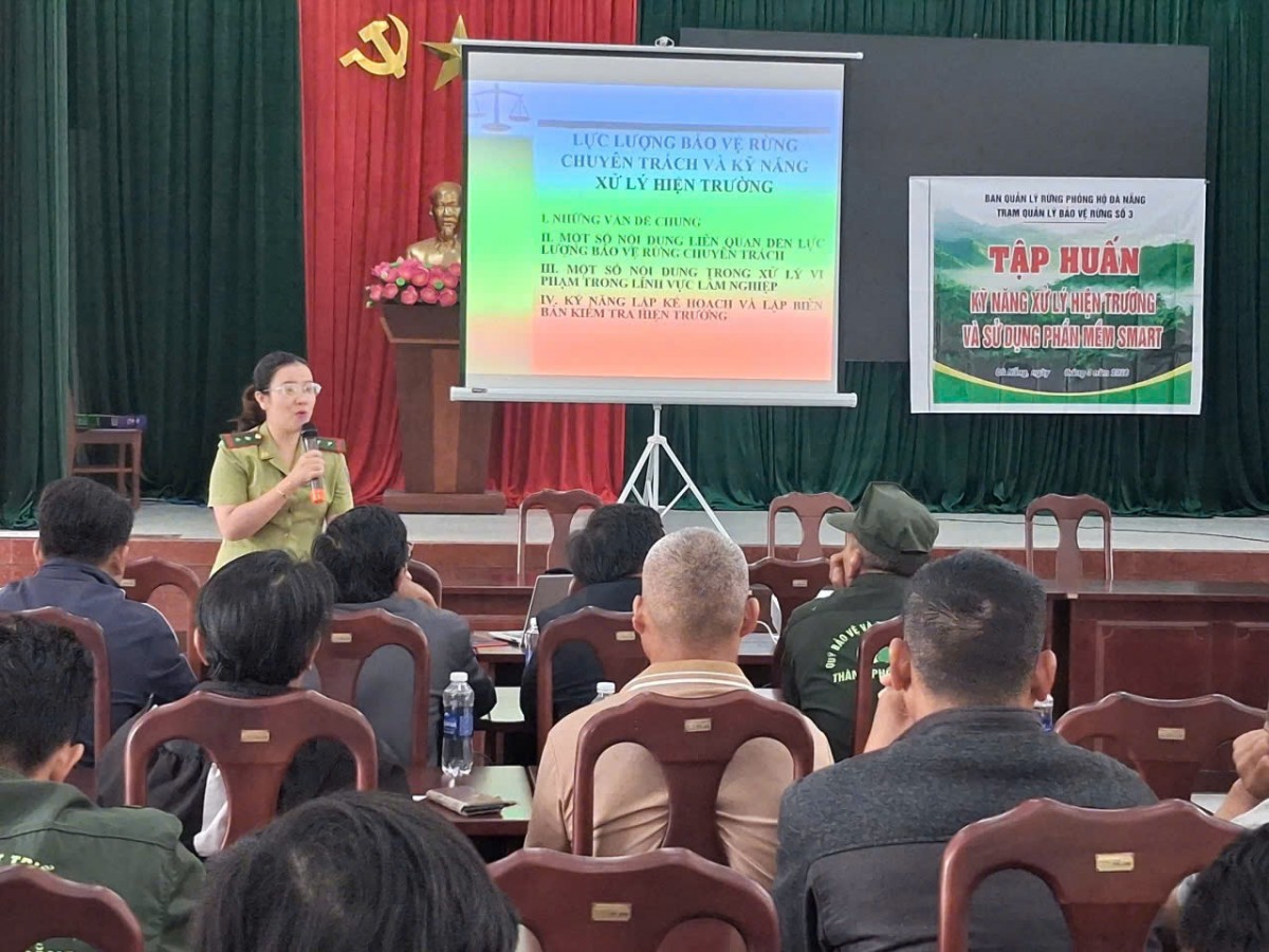 “Lá chắn xanh” bền bỉ giữ mạch sống cho thành phố