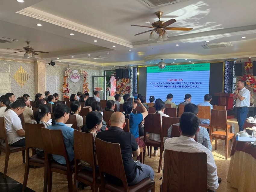  Các lớp tập huấn cho nhân viên thú y cơ sở.