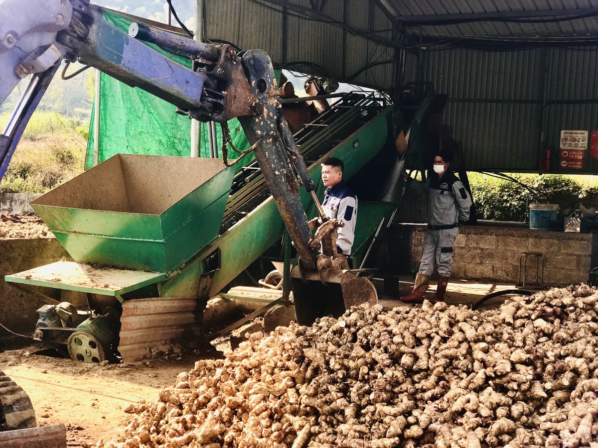 Cao Bằng: Thành lập mới 60 doanh nghiệp, 5 hợp tác xã