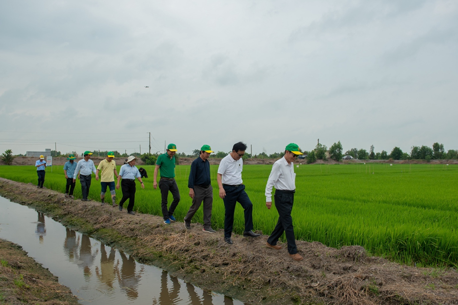 Đồng hành cùng nông dân xây dựng đất khỏe – Bình Điền thúc đẩy hành trình nông nghiệp xanh