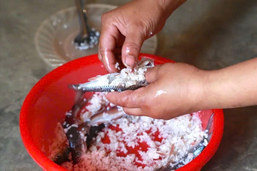 Người dân chế biến cá ủ chua – món ăn tiềm ẩn nguy cơ ngộ độc nếu không đảm bảo an toàn thực phẩm.