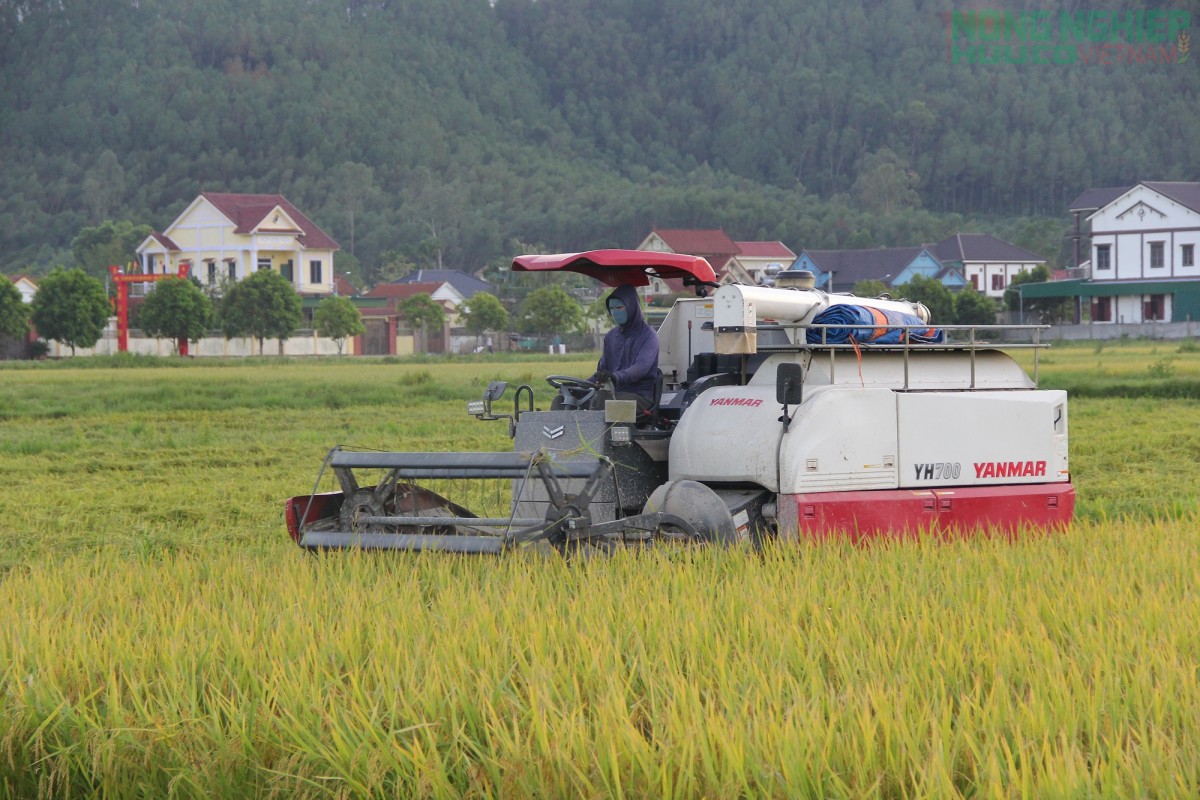 Nghệ An đặt “tam nông” vào vị trí chiến lược lâu dài trong tiến trình phát triển