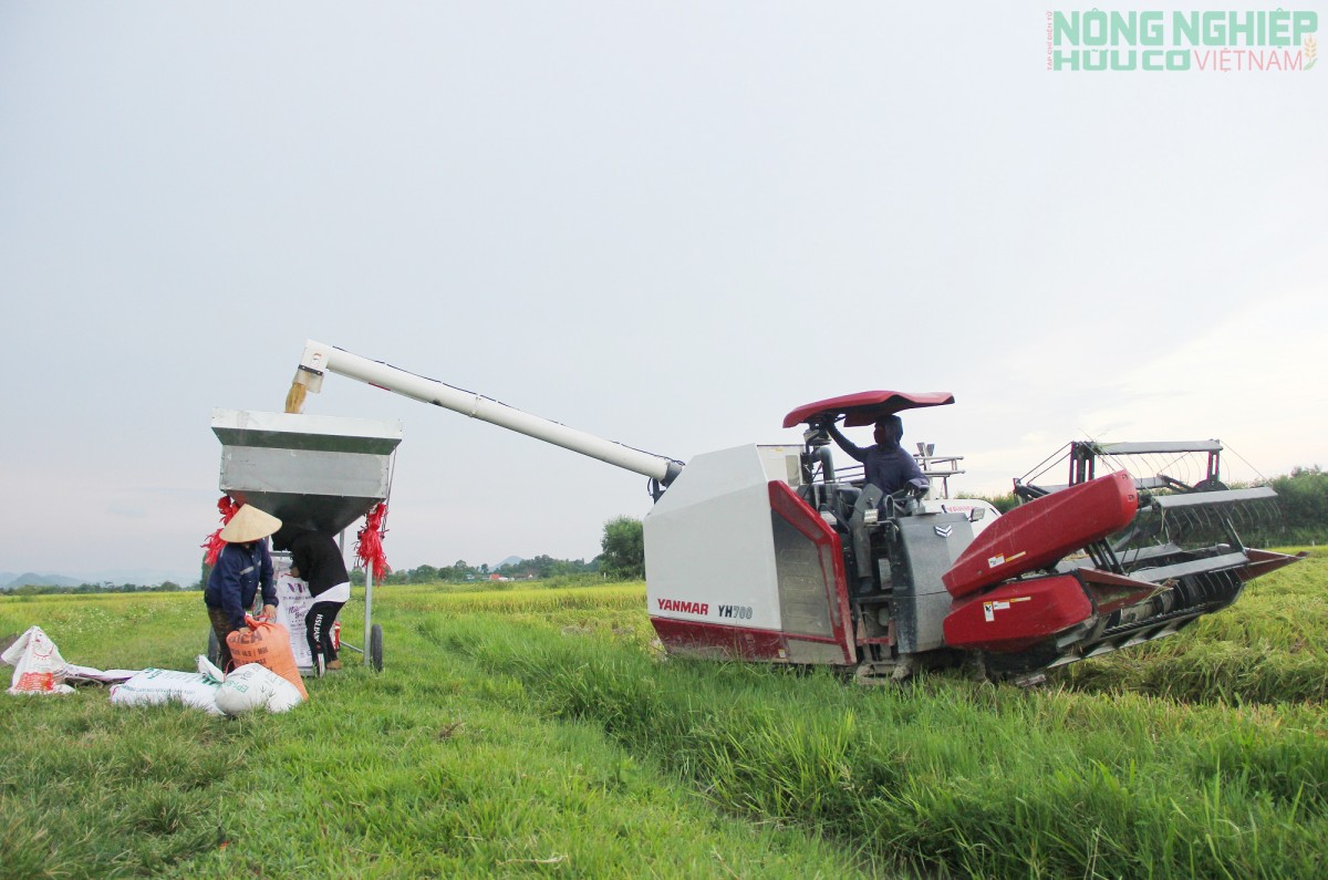 Nghệ An đặt “tam nông” vào vị trí chiến lược lâu dài trong tiến trình phát triển