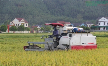 Nghệ An đặt “tam nông” vào vị trí chiến lược lâu dài trong tiến trình phát triển