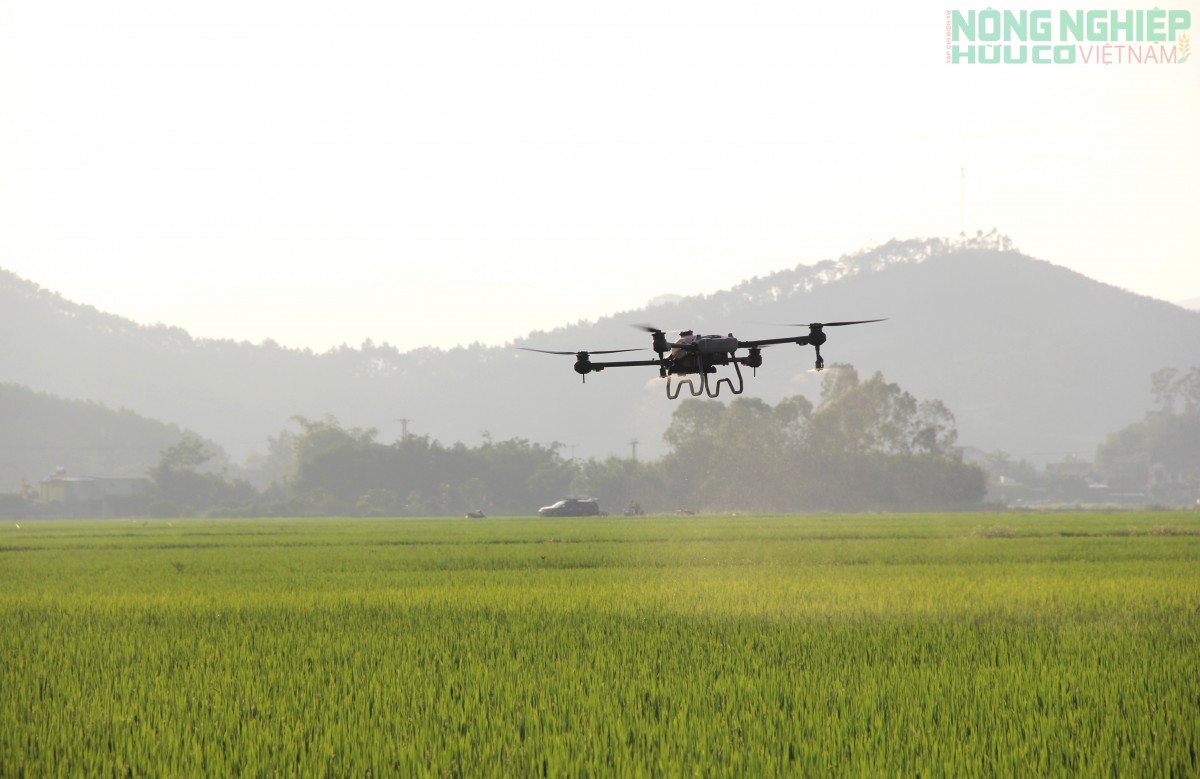 Nghệ An đặt “tam nông” vào vị trí chiến lược lâu dài trong tiến trình phát triển