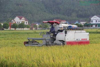 Nghệ An đặt “tam nông” vào vị trí chiến lược lâu dài trong tiến trình phát triển