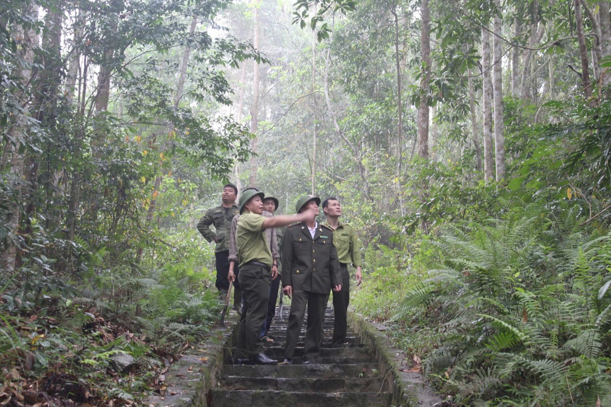 Góp sức giữ màu xanh, vun đắp sinh kế lâu dài